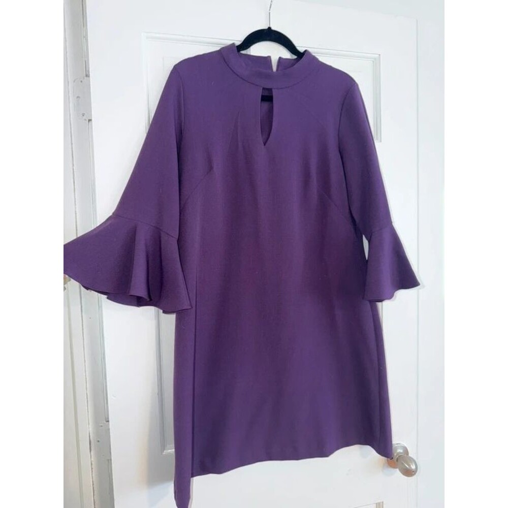 perceptions women’s plum dress with ruffle sleeves